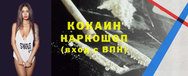 сатива Осинники