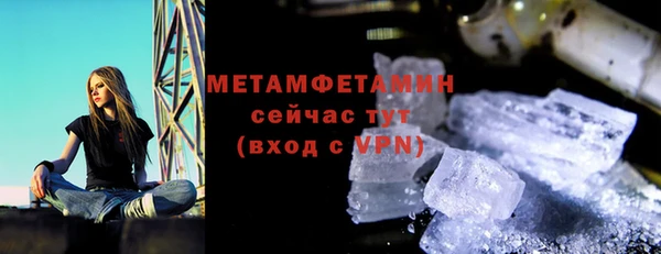 сатива Осинники