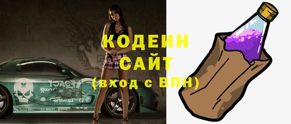 молекула духа Осташков