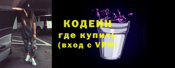 молекула духа Осташков