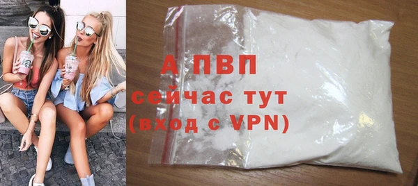 сатива Осинники