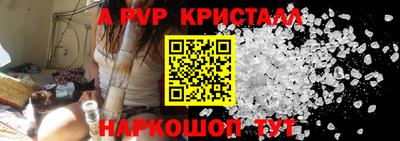 шишки Аргун