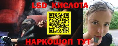 шишки Аргун