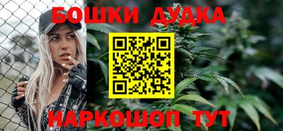 шишки Аргун