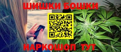 шишки Аргун