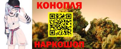 шишки Аргун