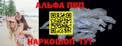 шишки Аргун