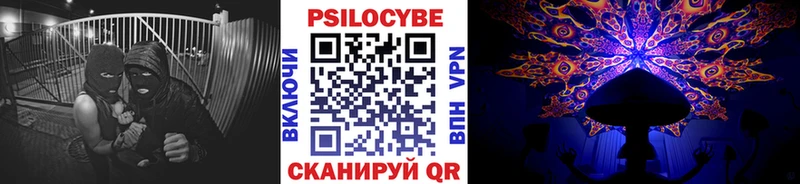 Галлюциногенные грибы Cubensis Саранск