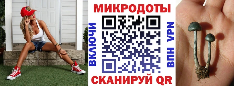 где купить наркоту  мориарти формула  Галлюциногенные грибы прущие грибы  Саранск 