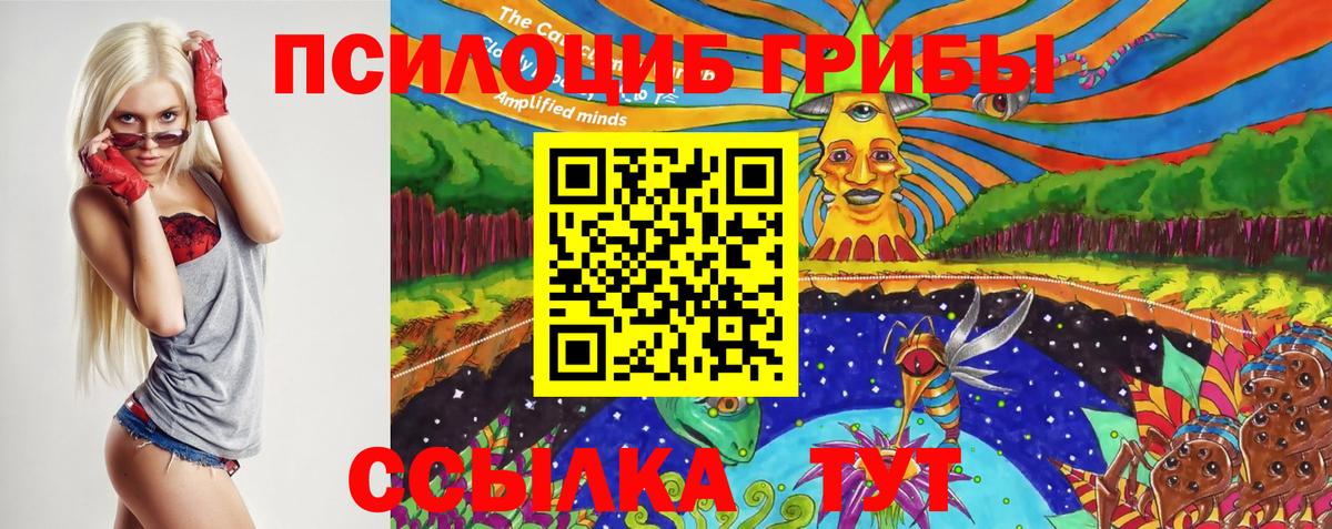 Саранск  закладки  Вход с VPN  Галлюциногенные грибы GOLDEN TEACHER 
