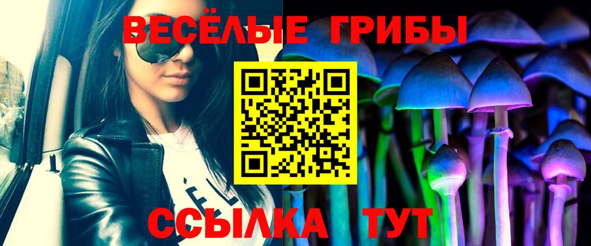 Галлюциногенные грибы ЛСД Саранск